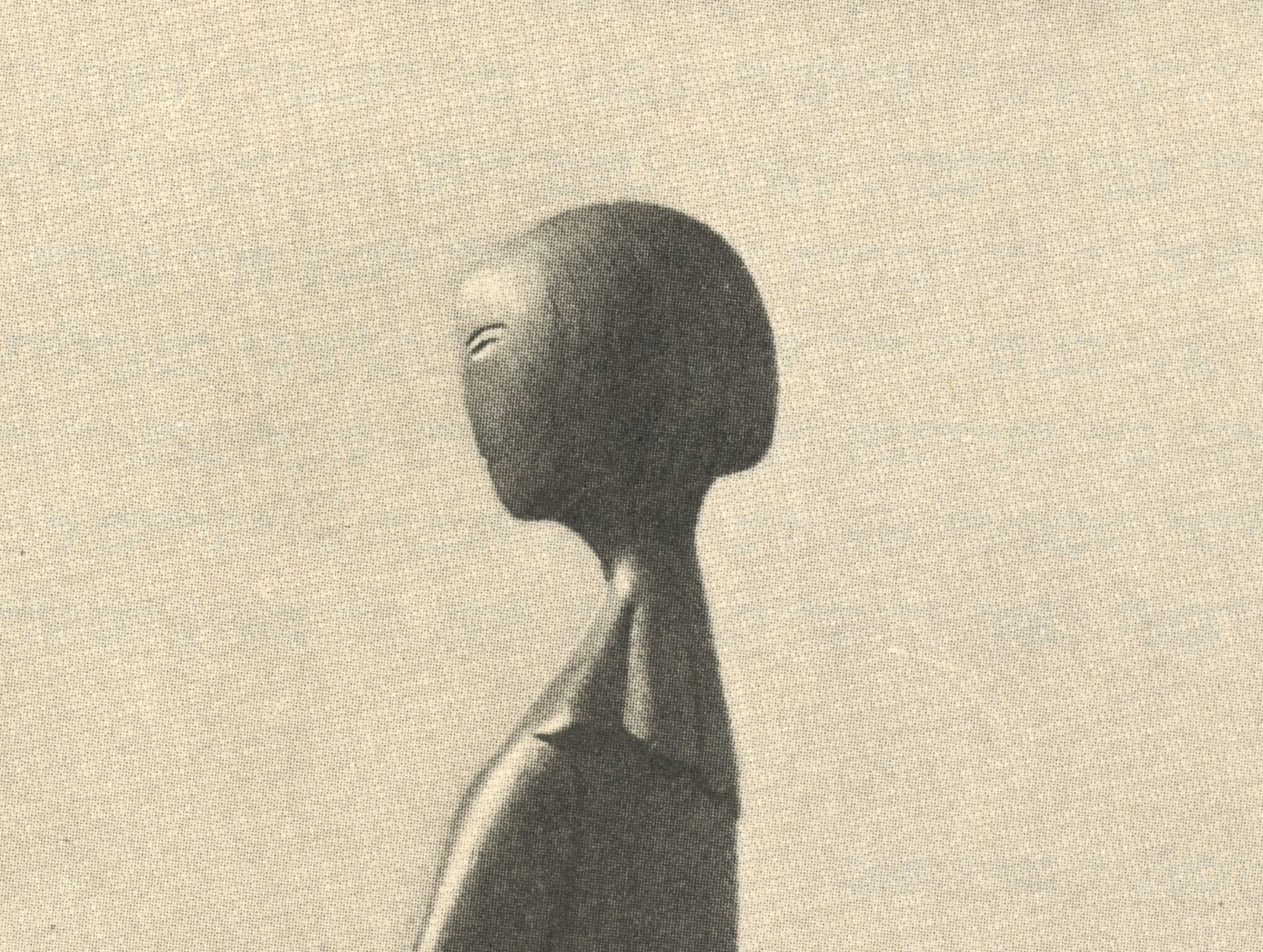 Ronit Porat: Night Forest